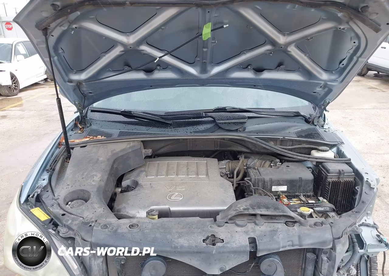 2007 Lexus Rx 350 VIN:2T2HK31U87C016698 - 10