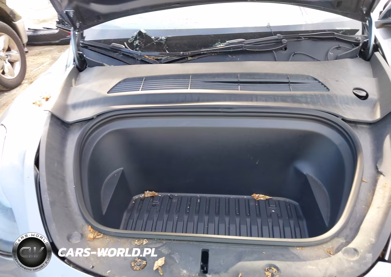 2024 Tesla Model Y Performance Dual Motor All-Wheel Drive VIN:7SAYGDEF5RA309948 - 10