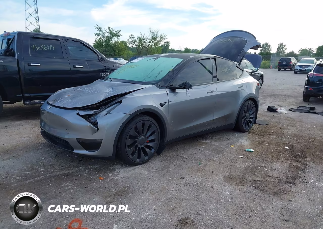 2024 Tesla Model Y Performance Dual Motor All-Wheel Drive VIN:7SAYGDEF5RA309948 - 2