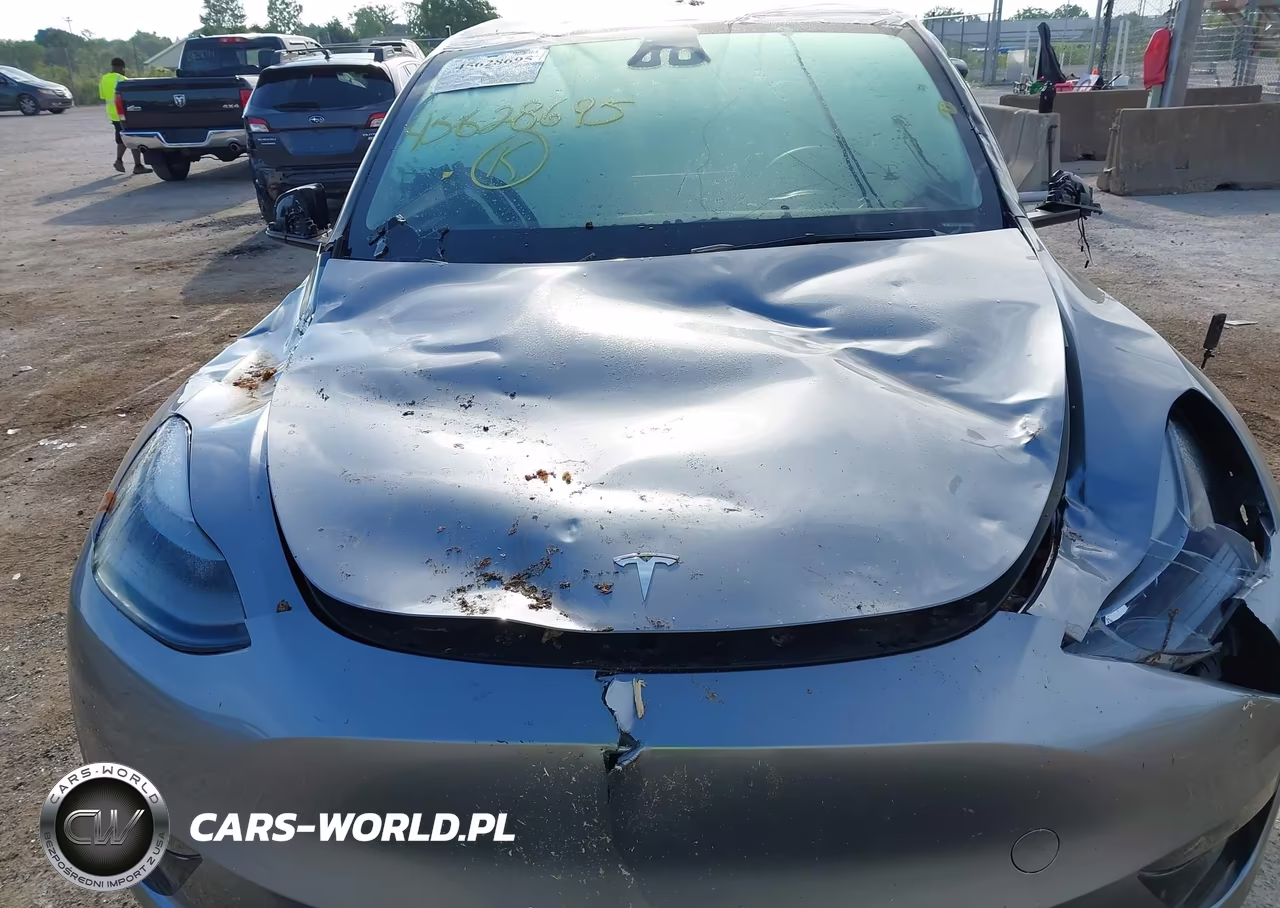 2024 Tesla Model Y Performance Dual Motor All-Wheel Drive VIN:7SAYGDEF5RA309948 - 6