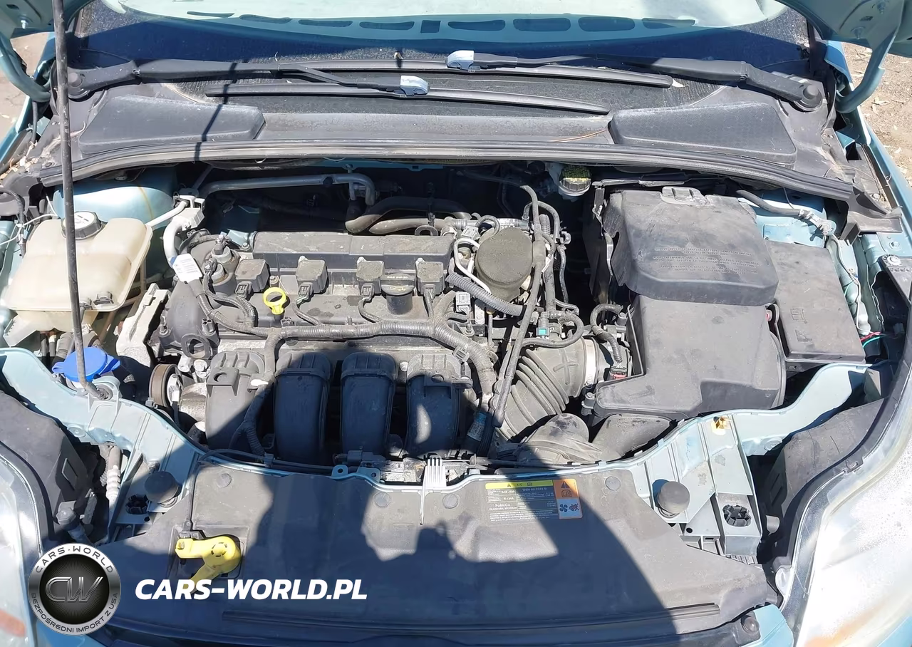 2012 Ford Focus Sel VIN:1FAHP3M2XCL438867 - 10