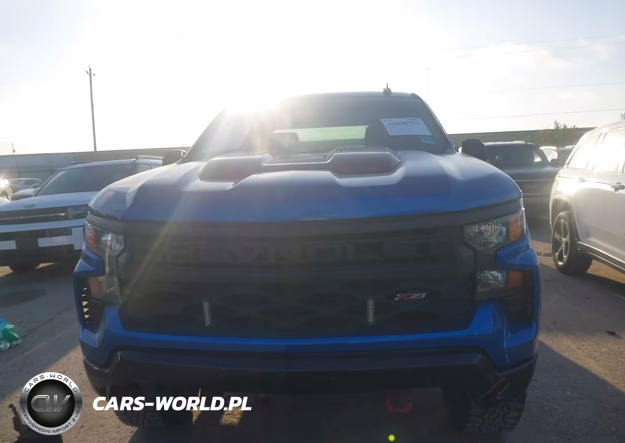 2022 Chevrolet Silverado 1500 4Wd Short Bed Custom Trail Boss VIN:3GCPDCED2NG533356 - 12