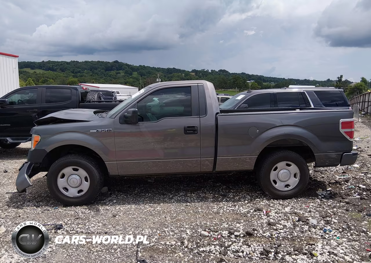 2009 Ford F-150 Stx-Xl-Xl W-Midbox Prep-Xlt-Xlt W-Midbox Prep VIN:1FTRF12W69KC90565 - 14