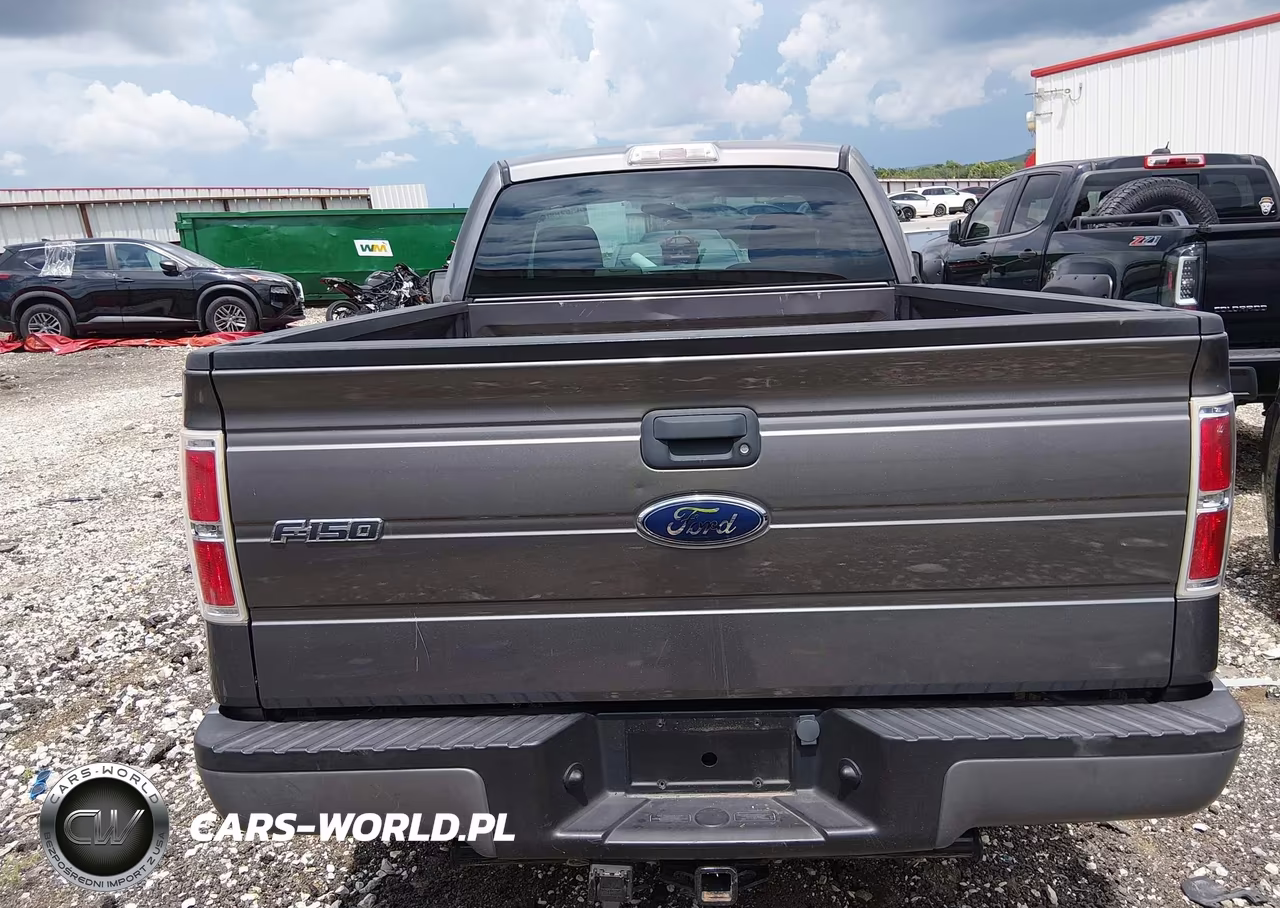 2009 Ford F-150 Stx-Xl-Xl W-Midbox Prep-Xlt-Xlt W-Midbox Prep VIN:1FTRF12W69KC90565 - 16