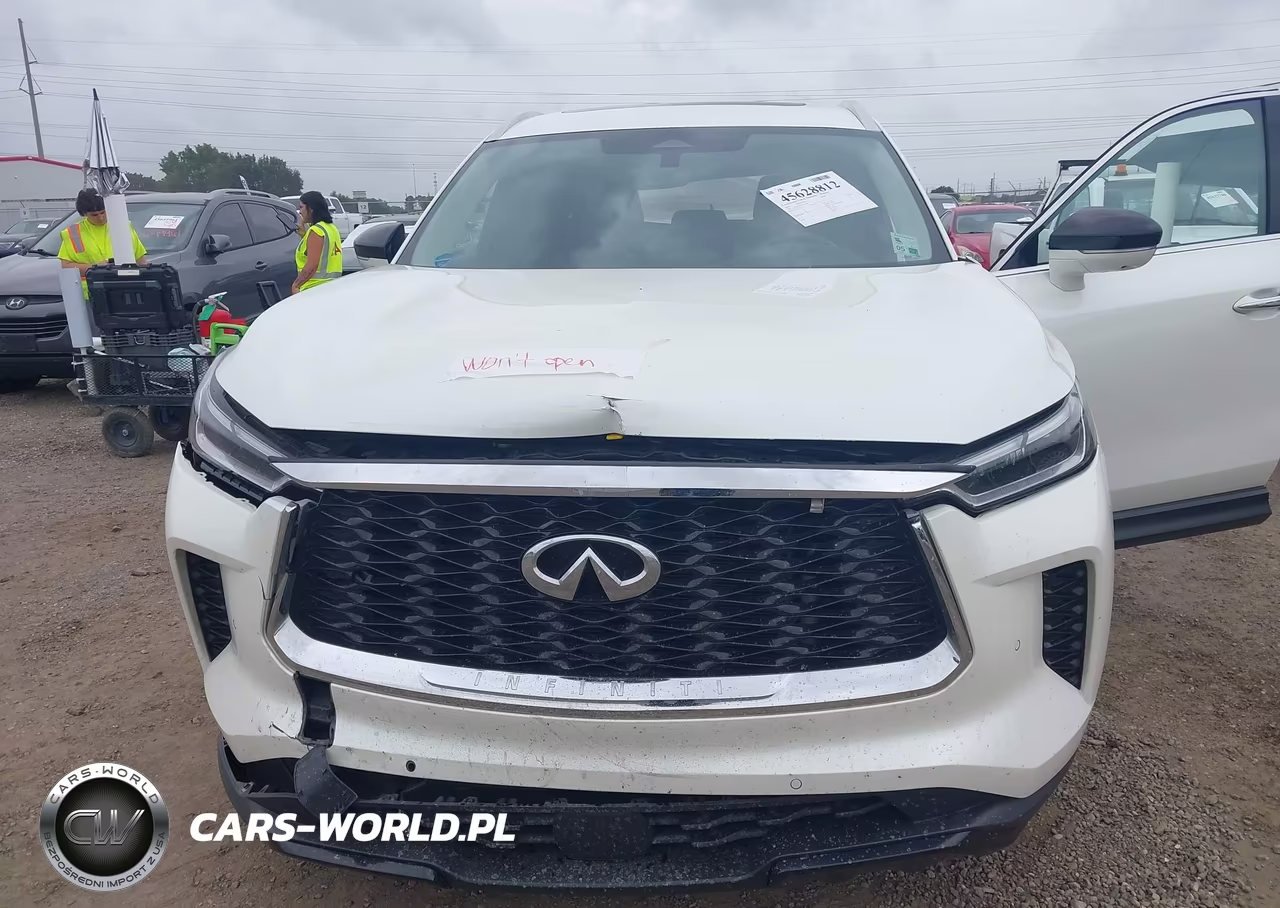 2024 Infiniti Qx60 Luxe VIN:5N1DL1FR6RC354536 - 10