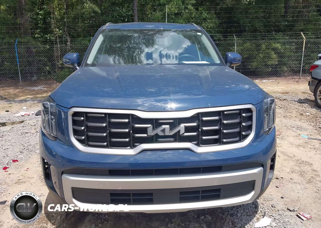 2025 Kia Telluride S VIN:5XYP6DGCXSG637236 - 11