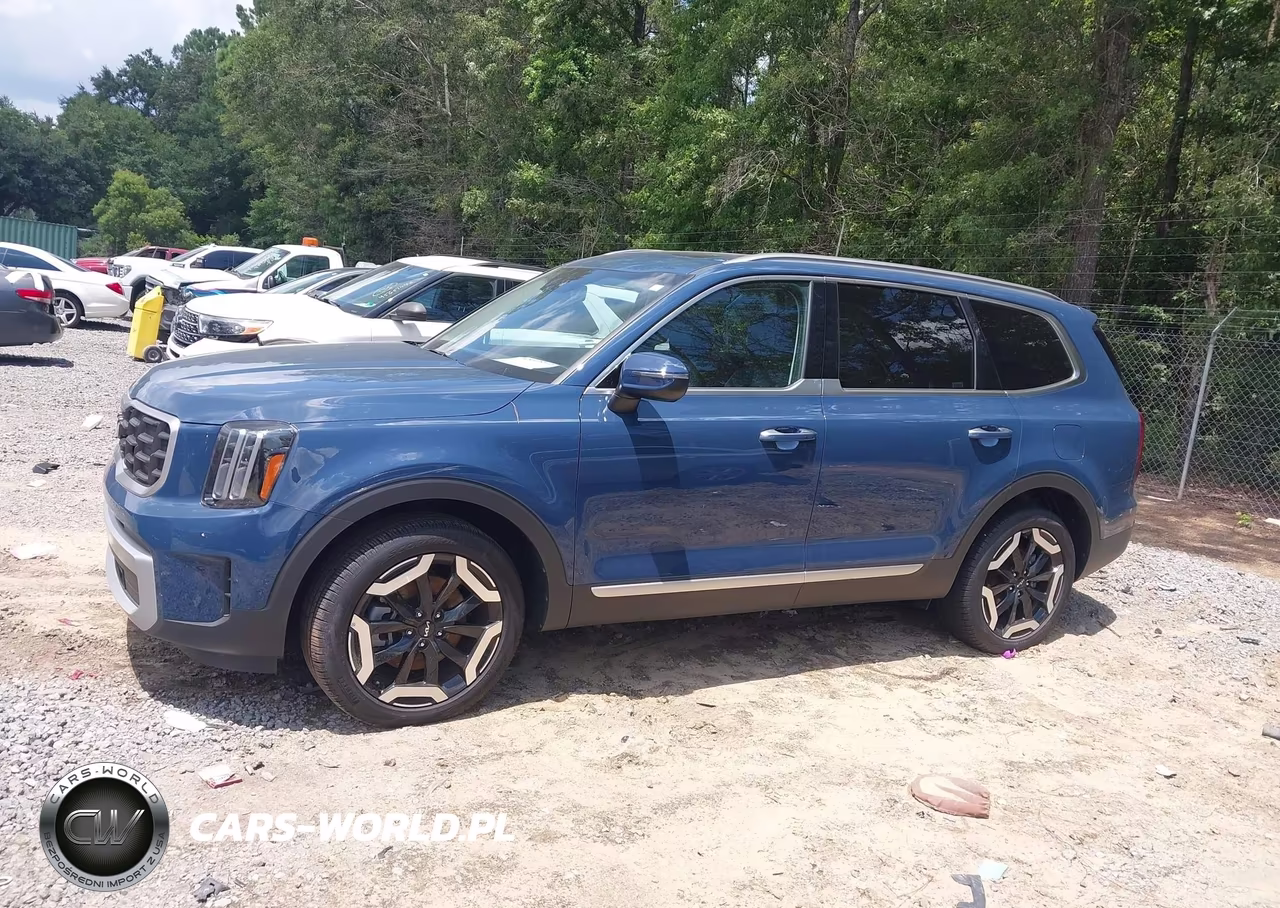 2025 Kia Telluride S VIN:5XYP6DGCXSG637236 - 13