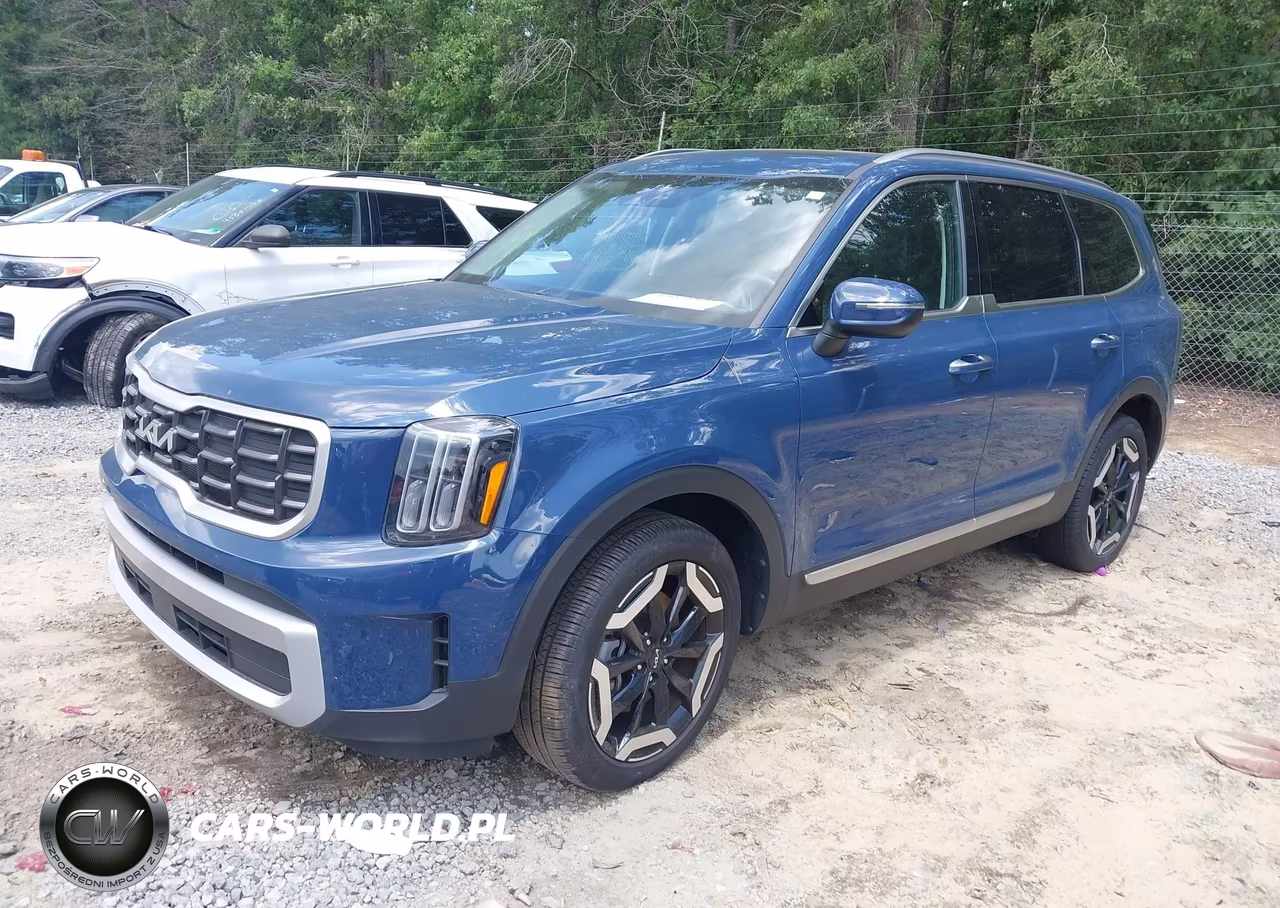 2025 Kia Telluride S VIN:5XYP6DGCXSG637236 - 6
