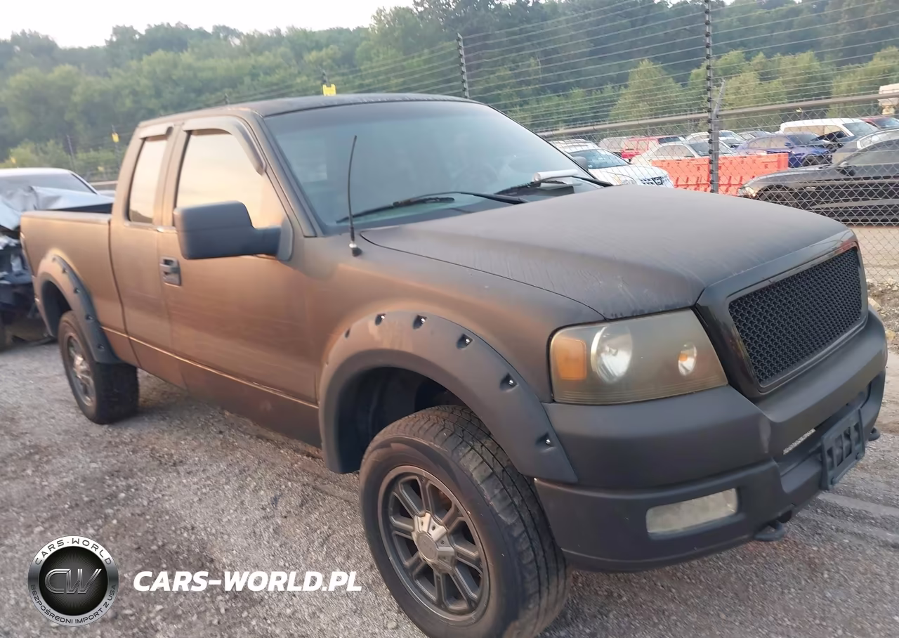 2004 Ford F-150 Stx-Xl-Xlt – zdjęcie 1 z 11