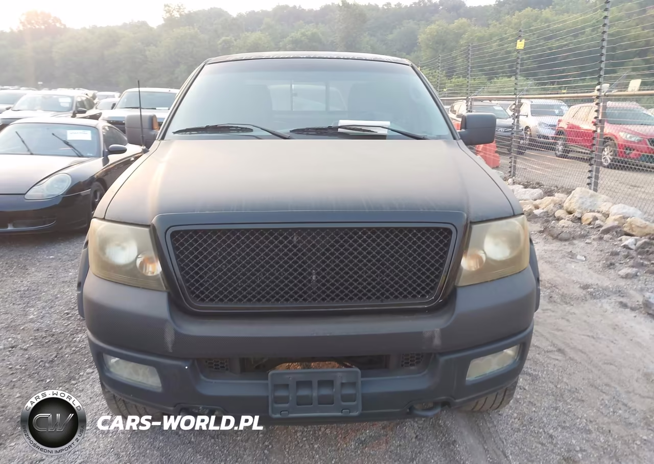 2004 Ford F-150 Stx-Xl-Xlt VIN:1FTRX14W34NB40821 - 6