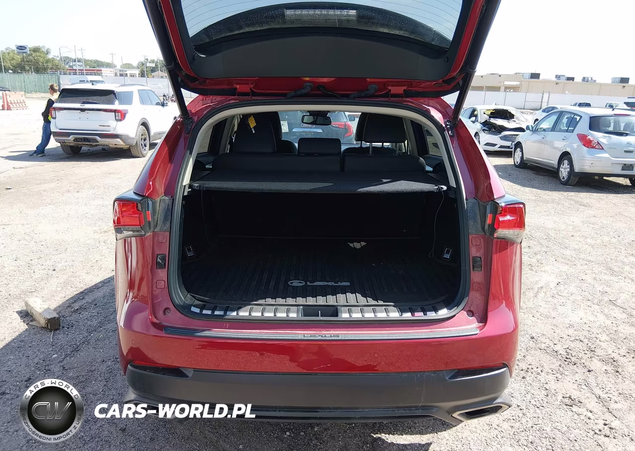 2021 Lexus Nx 300 VIN:JTJDARBZ6M5024288 - 17
