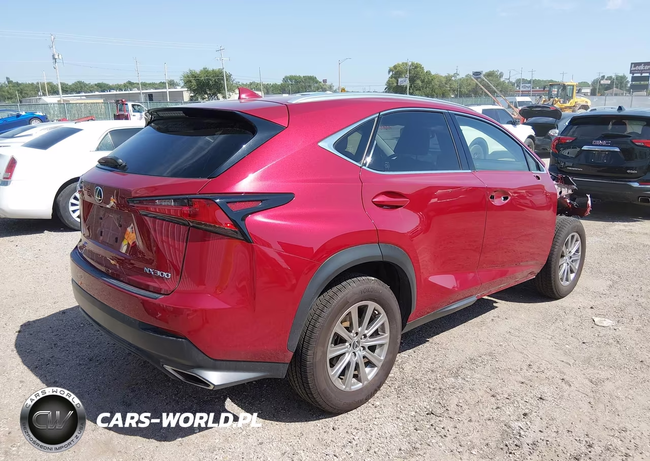2021 Lexus Nx 300 VIN:JTJDARBZ6M5024288 - 4