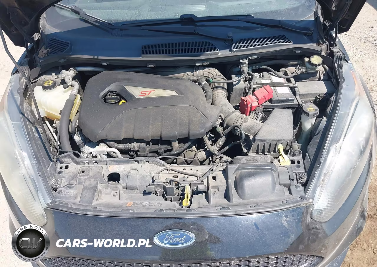 2016 Ford Fiesta St VIN:3FADP4GX1GM164815 - 10