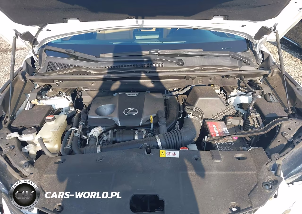 2016 Lexus Nx 200T VIN:JTJBARBZ0G2079574 - 10