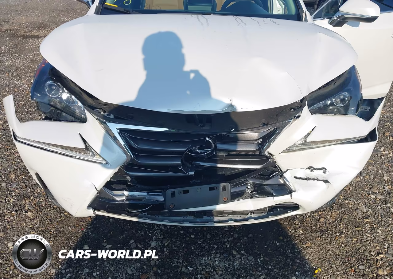 2016 Lexus Nx 200T VIN:JTJBARBZ0G2079574 - 6