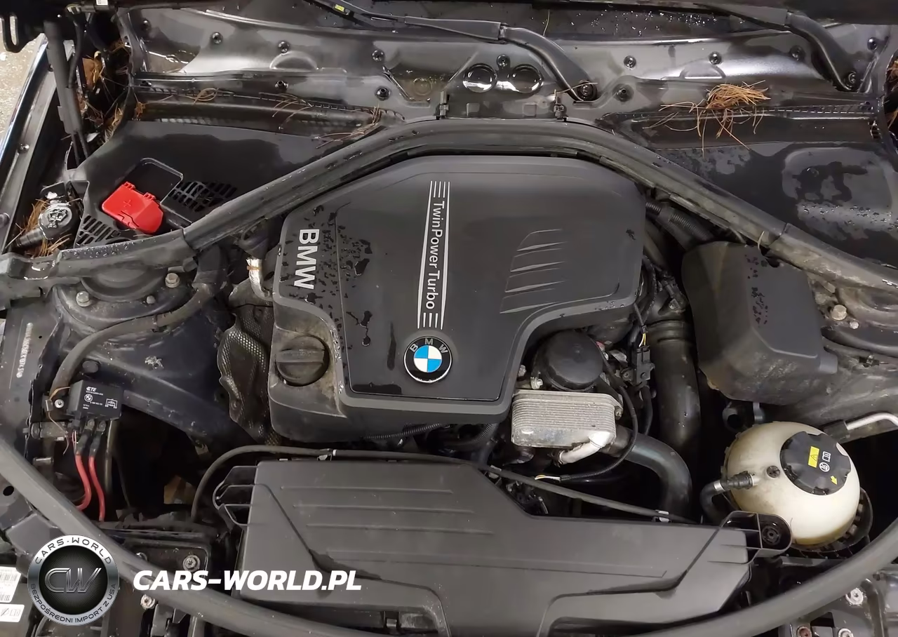 2014 BMW 428I xDrive VIN:WBA3N5C56EK197431 - 10