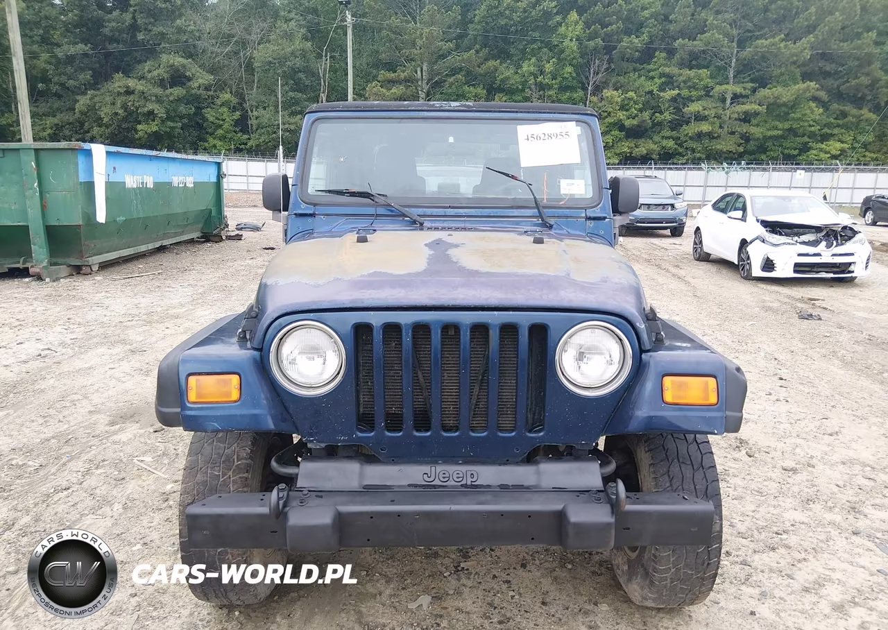 2003 Jeep Wrangler Sport VIN:1J4FA49S13P341898 - 12