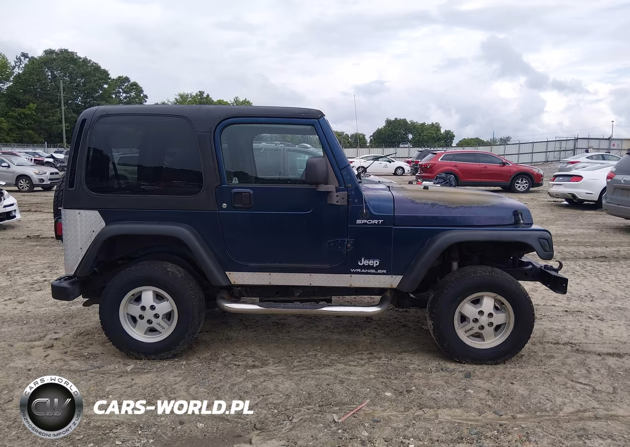 2003 Jeep Wrangler Sport VIN:1J4FA49S13P341898 - 13
