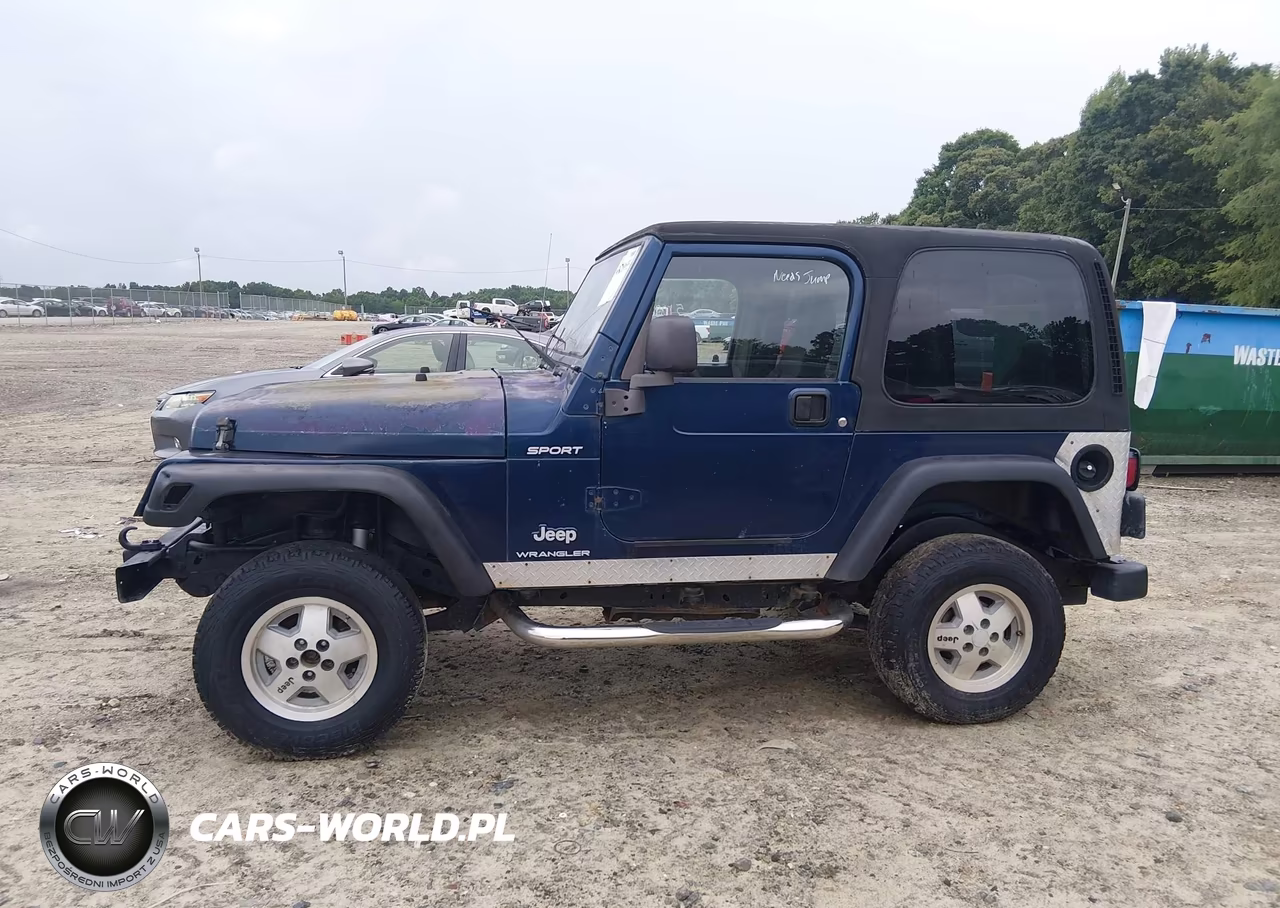 2003 Jeep Wrangler Sport VIN:1J4FA49S13P341898 - 14