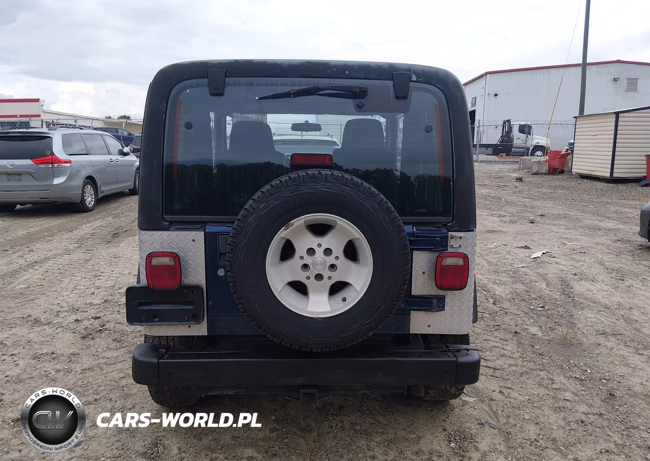 2003 Jeep Wrangler Sport VIN:1J4FA49S13P341898 - 16