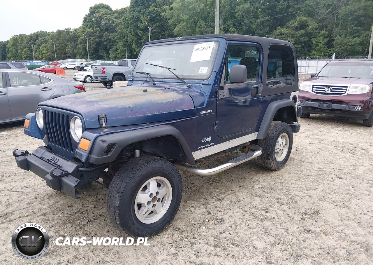 2003 Jeep Wrangler Sport VIN:1J4FA49S13P341898 - 2