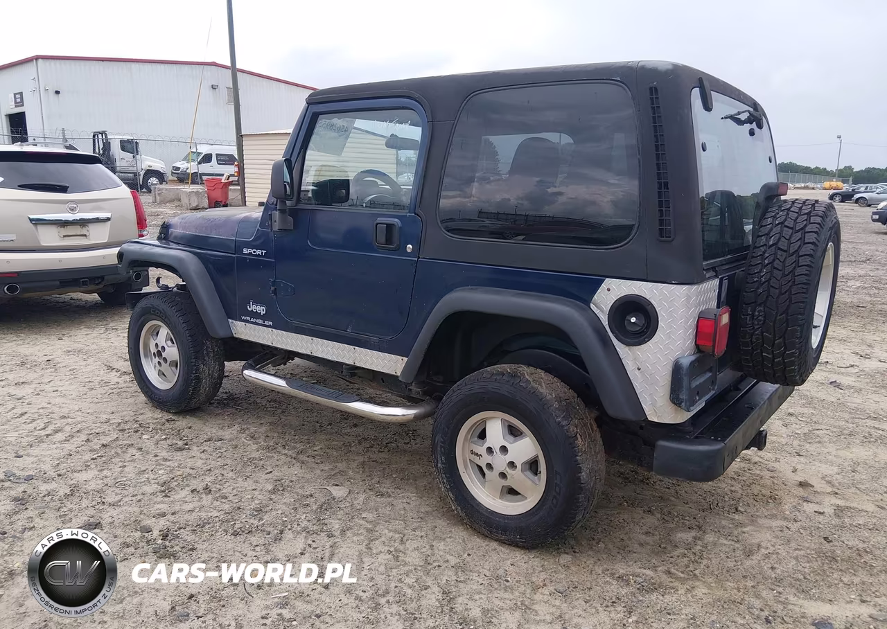 2003 Jeep Wrangler Sport VIN:1J4FA49S13P341898 - 3