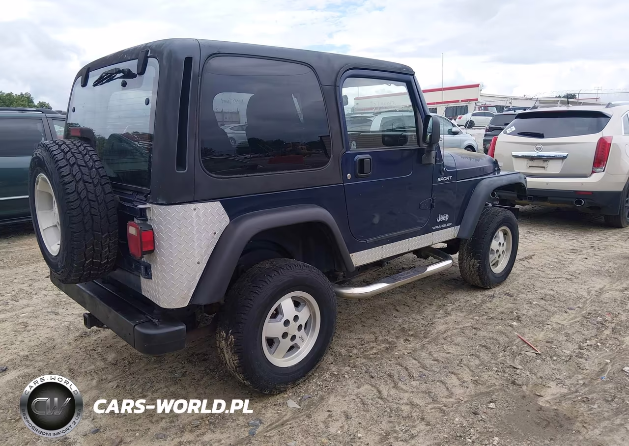 2003 Jeep Wrangler Sport VIN:1J4FA49S13P341898 - 4