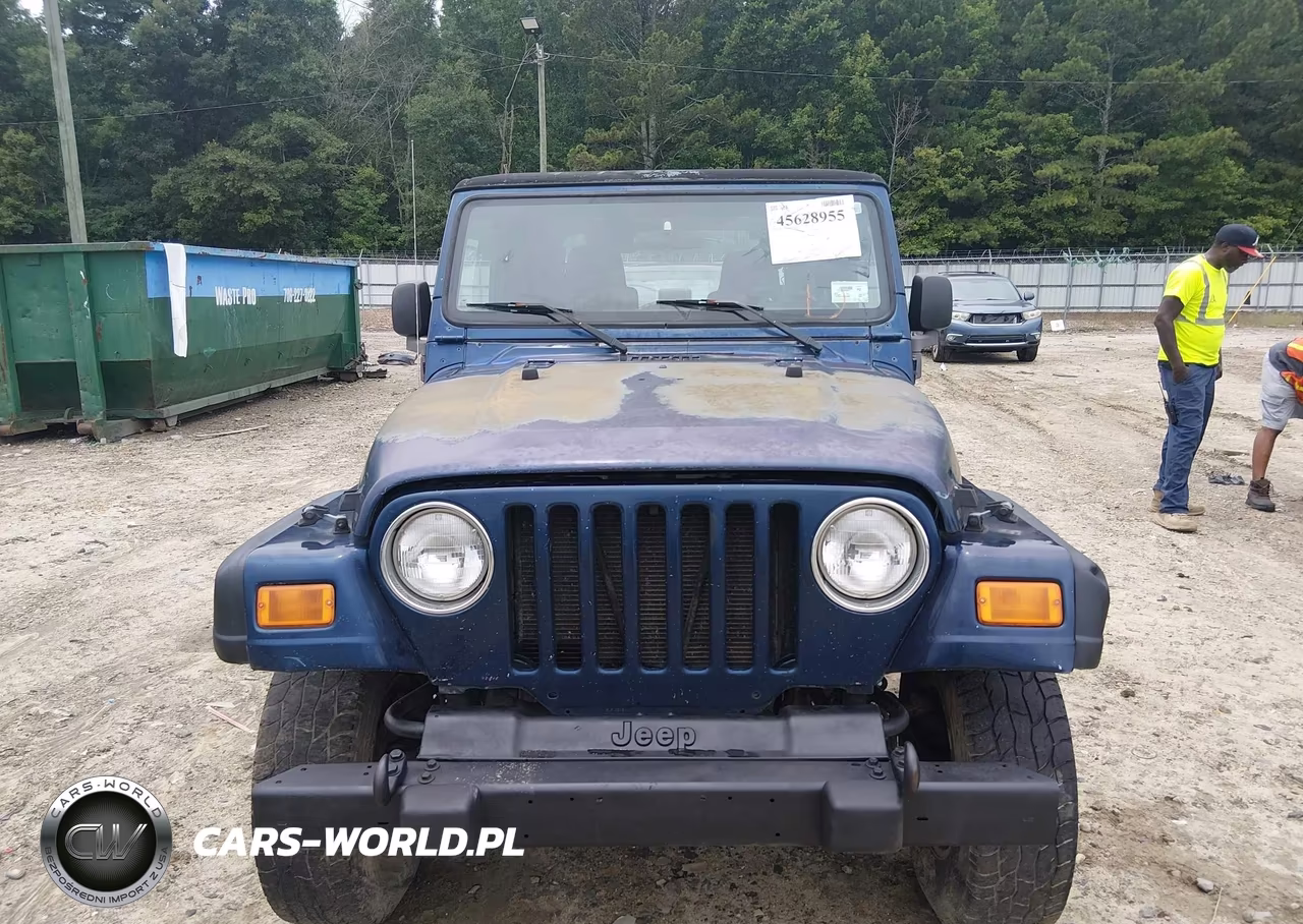 2003 Jeep Wrangler Sport VIN:1J4FA49S13P341898 - 6