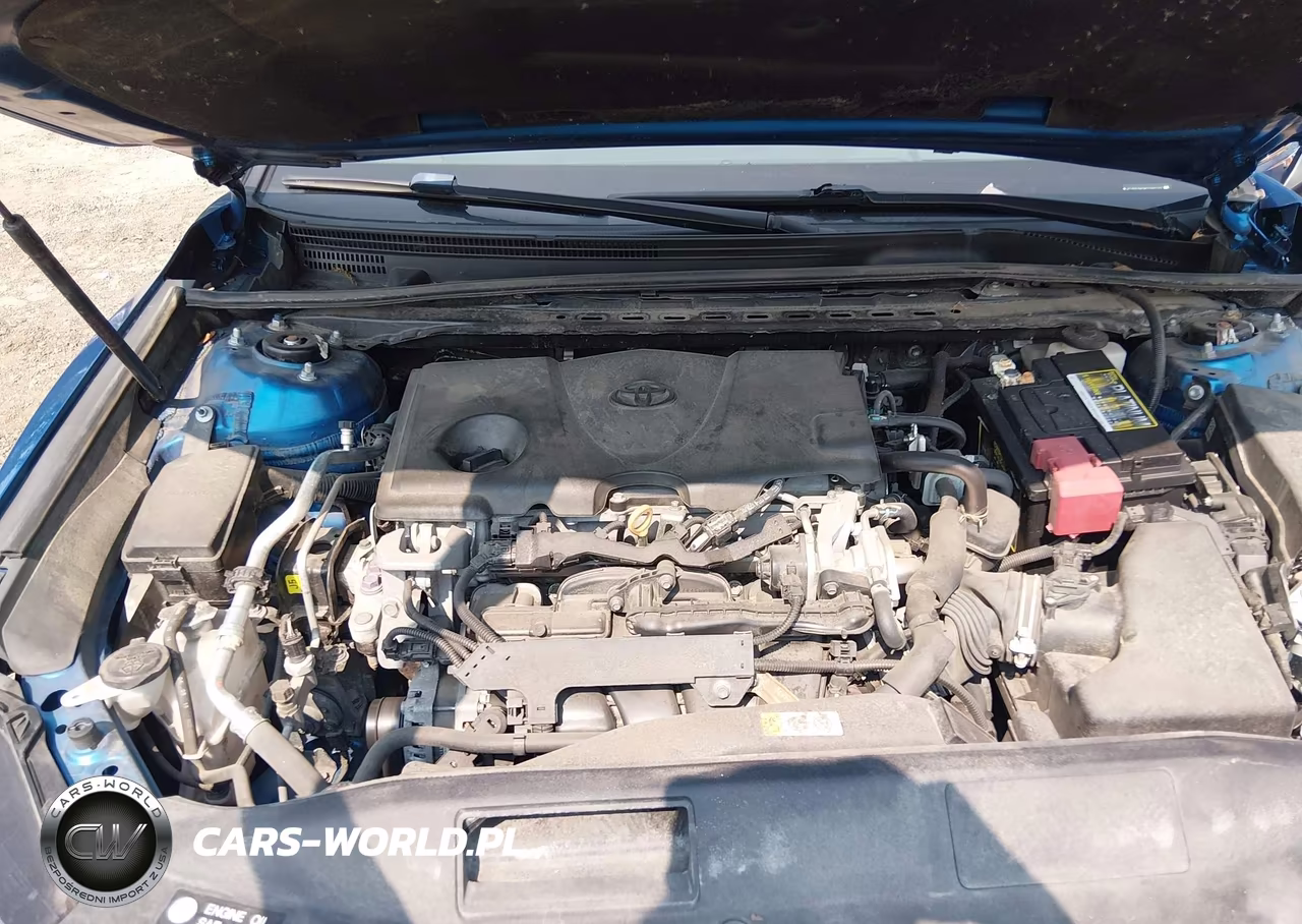 2019 Toyota Camry Xse VIN:4T1B61HK9KU165233 - 10