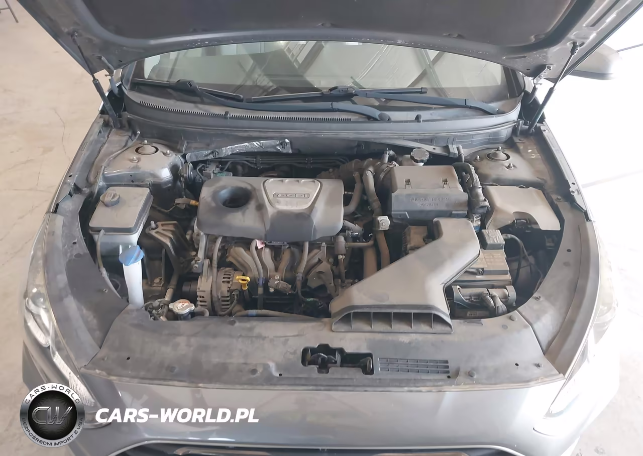 2019 Hyundai Sonata Eco VIN:5NPE24AA0KH773880 - 10