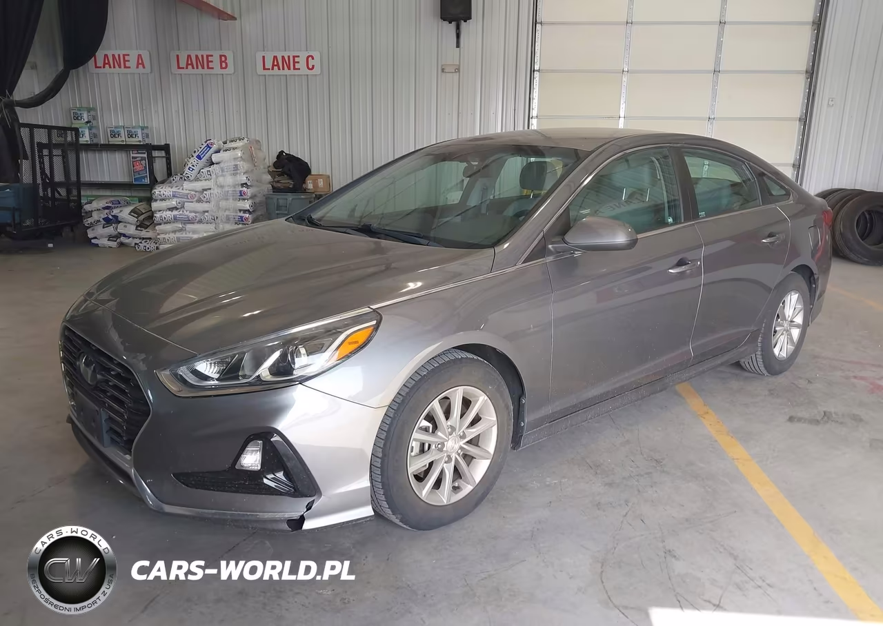 2019 Hyundai Sonata Eco VIN:5NPE24AA0KH773880 - 2
