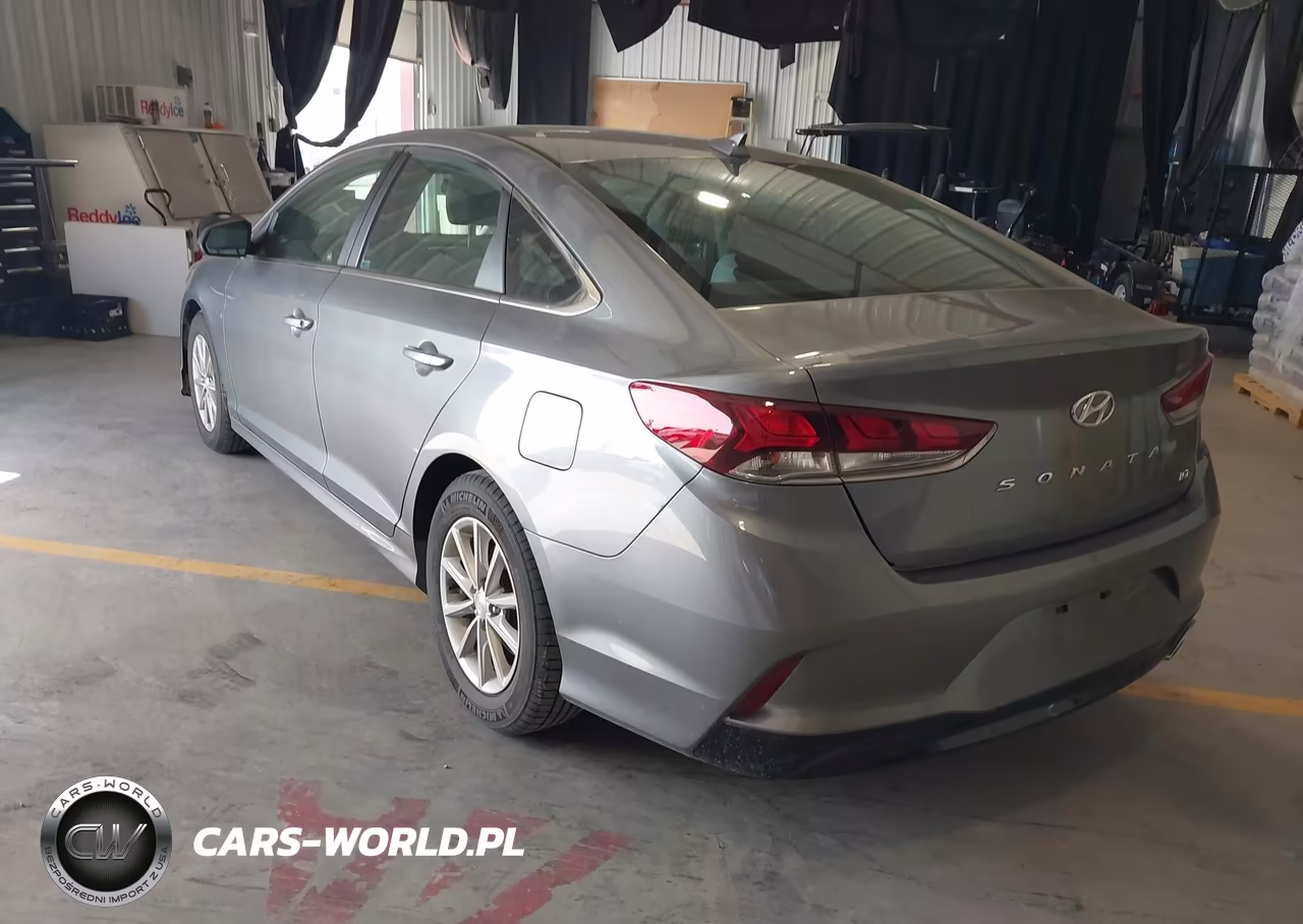 2019 Hyundai Sonata Eco VIN:5NPE24AA0KH773880 - 3