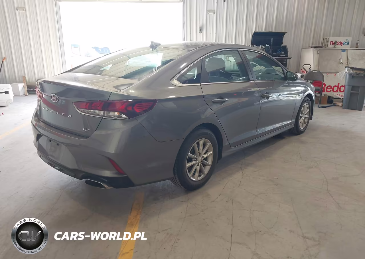 2019 Hyundai Sonata Eco VIN:5NPE24AA0KH773880 - 4