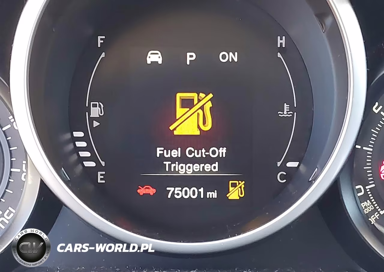 2016 Fiat 500X Easy VIN:ZFBCFYBT1GP512632 - 16