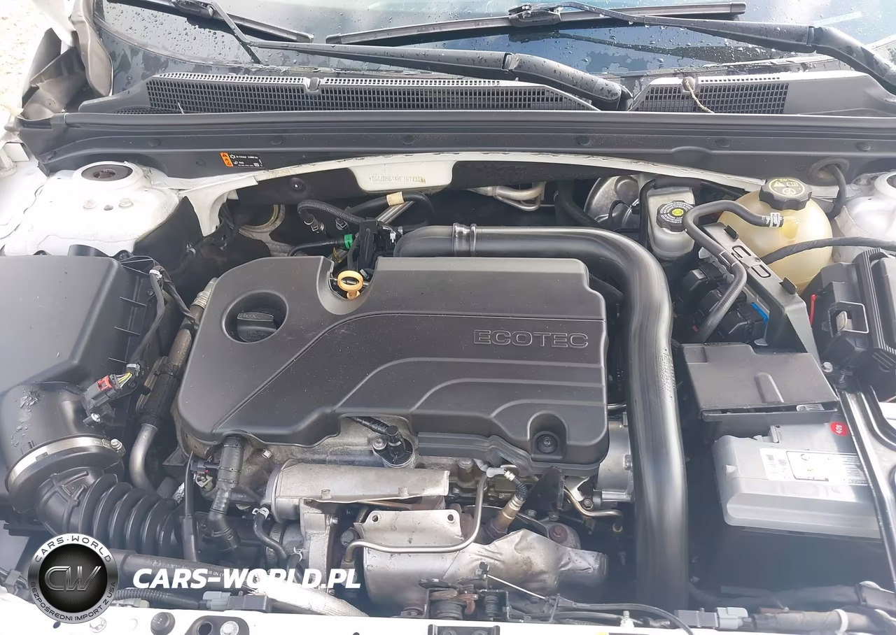 2019 Chevrolet Malibu Lt VIN:1G1ZD5ST4KF167731 - 10