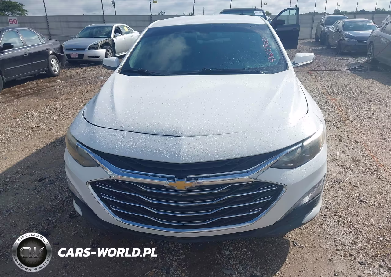 2019 Chevrolet Malibu Lt VIN:1G1ZD5ST4KF167731 - 12