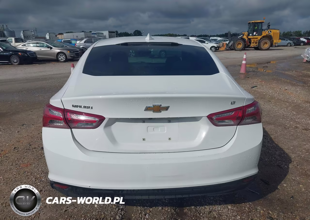 2019 Chevrolet Malibu Lt VIN:1G1ZD5ST4KF167731 - 16