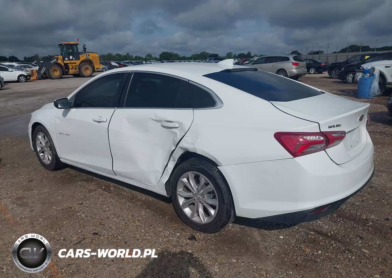 2019 Chevrolet Malibu Lt VIN:1G1ZD5ST4KF167731 - 3
