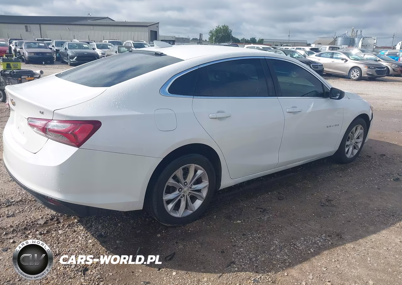 2019 Chevrolet Malibu Lt VIN:1G1ZD5ST4KF167731 - 4