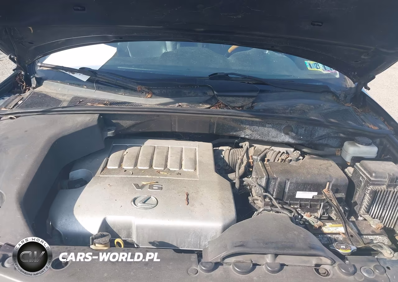 2009 Lexus Rx 350 VIN:2T2HK31UX9C122010 - 10