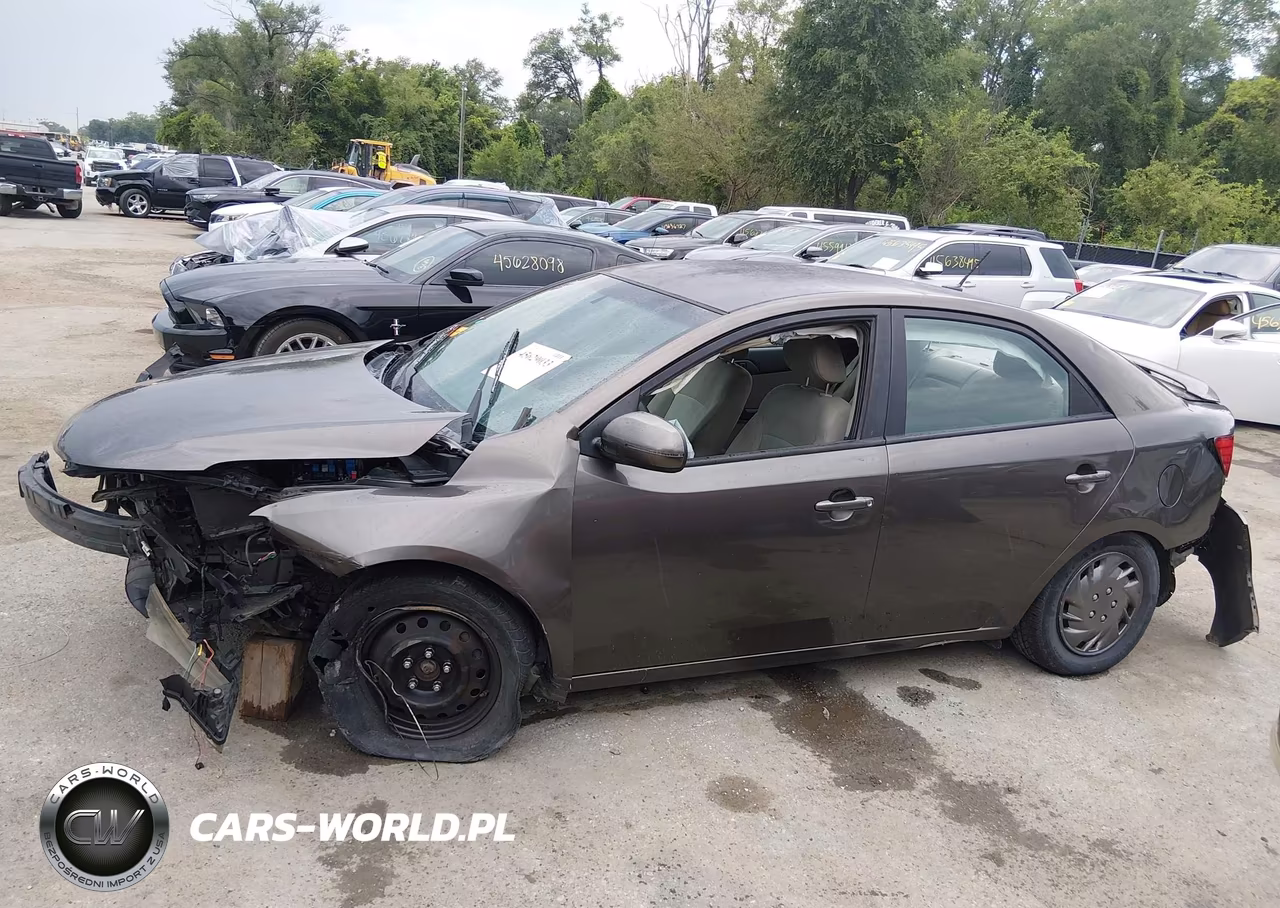 2012 Kia Forte Ex VIN:KNAFU4A23C5526245 - 13