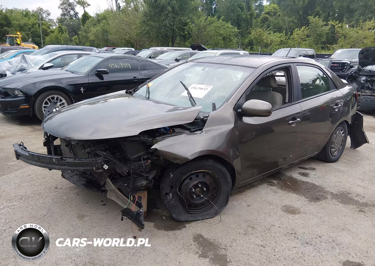 2012 Kia Forte Ex VIN:KNAFU4A23C5526245 - 2