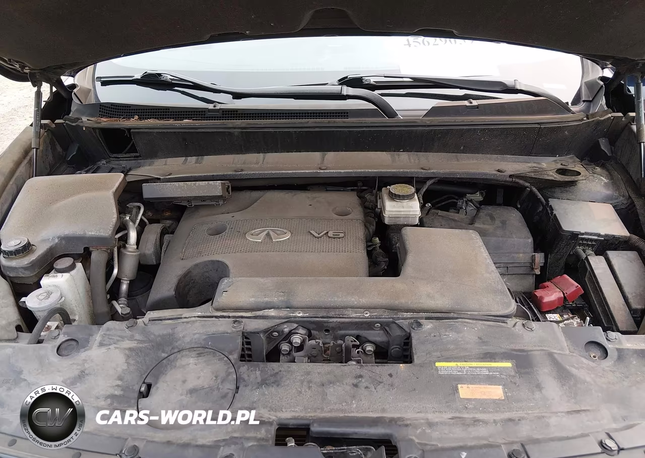 2016 Infiniti Qx60 VIN:5N1AL0MM1GC521533 - 10