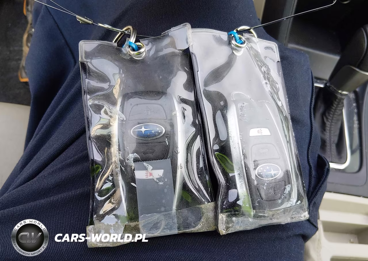 2016 Subaru Impreza 2.0I Limited VIN:JF1GJAK66GH005935 - 11