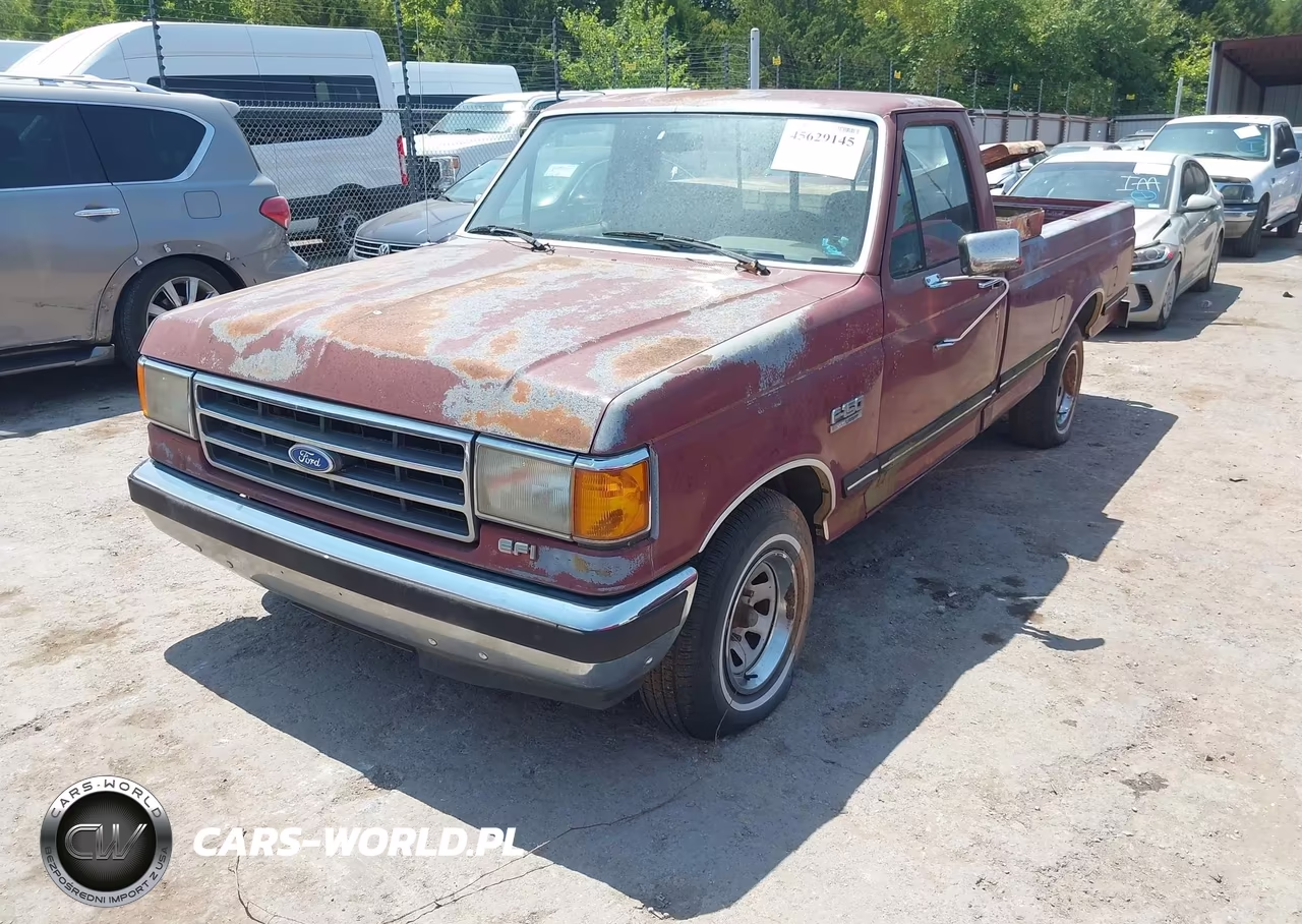 1990 Ford F150 VIN:1FTDF15Y2LNB33810 - 2