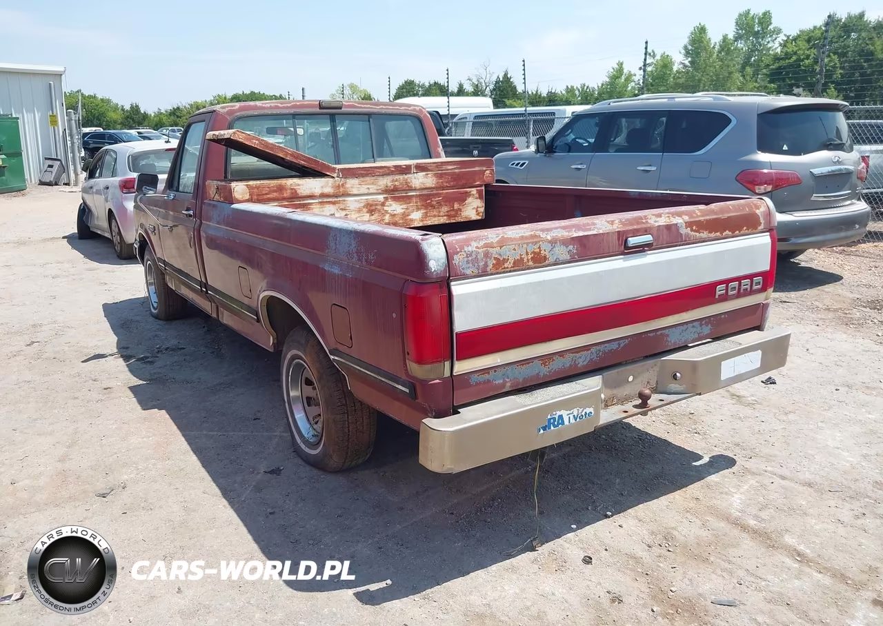 1990 Ford F150 VIN:1FTDF15Y2LNB33810 - 3