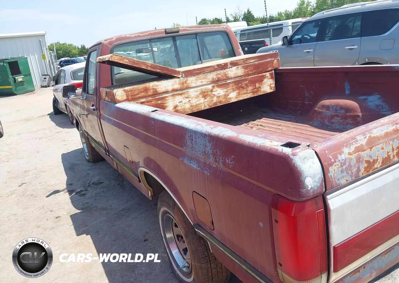 1990 Ford F150 VIN:1FTDF15Y2LNB33810 - 6