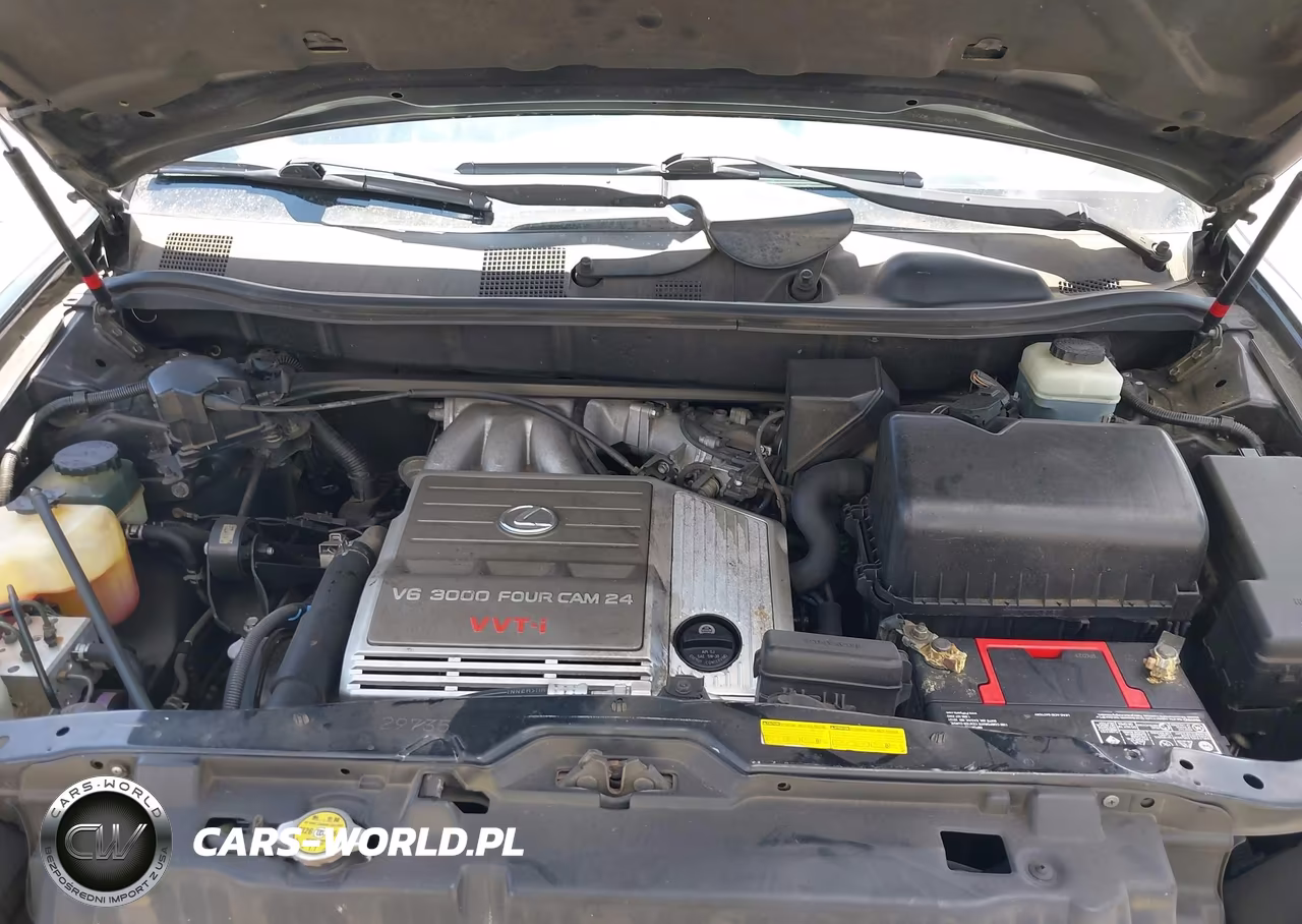 2001 Lexus Rx 300 VIN:JTJGF10U610109731 - 10