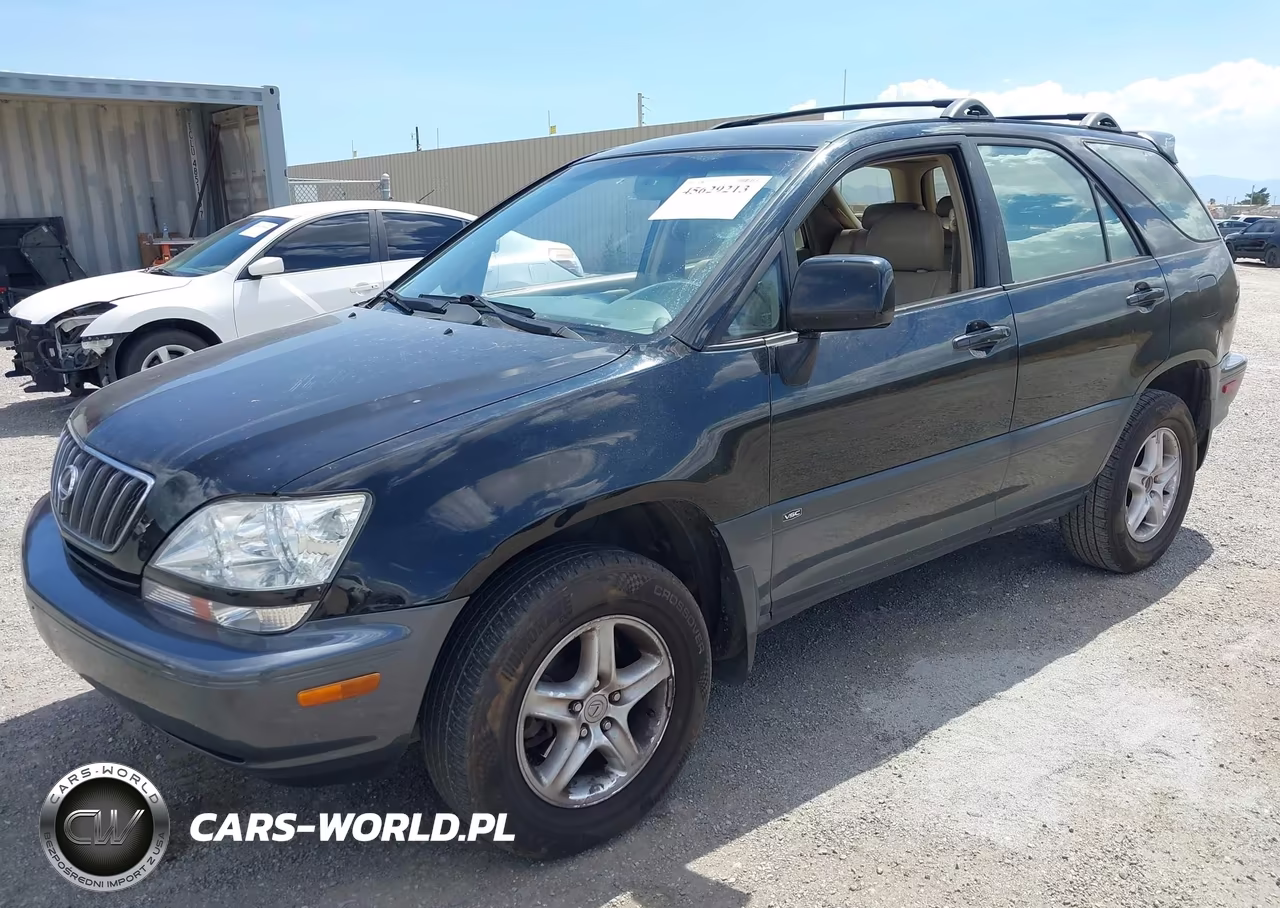 2001 Lexus Rx 300 VIN:JTJGF10U610109731 - 2