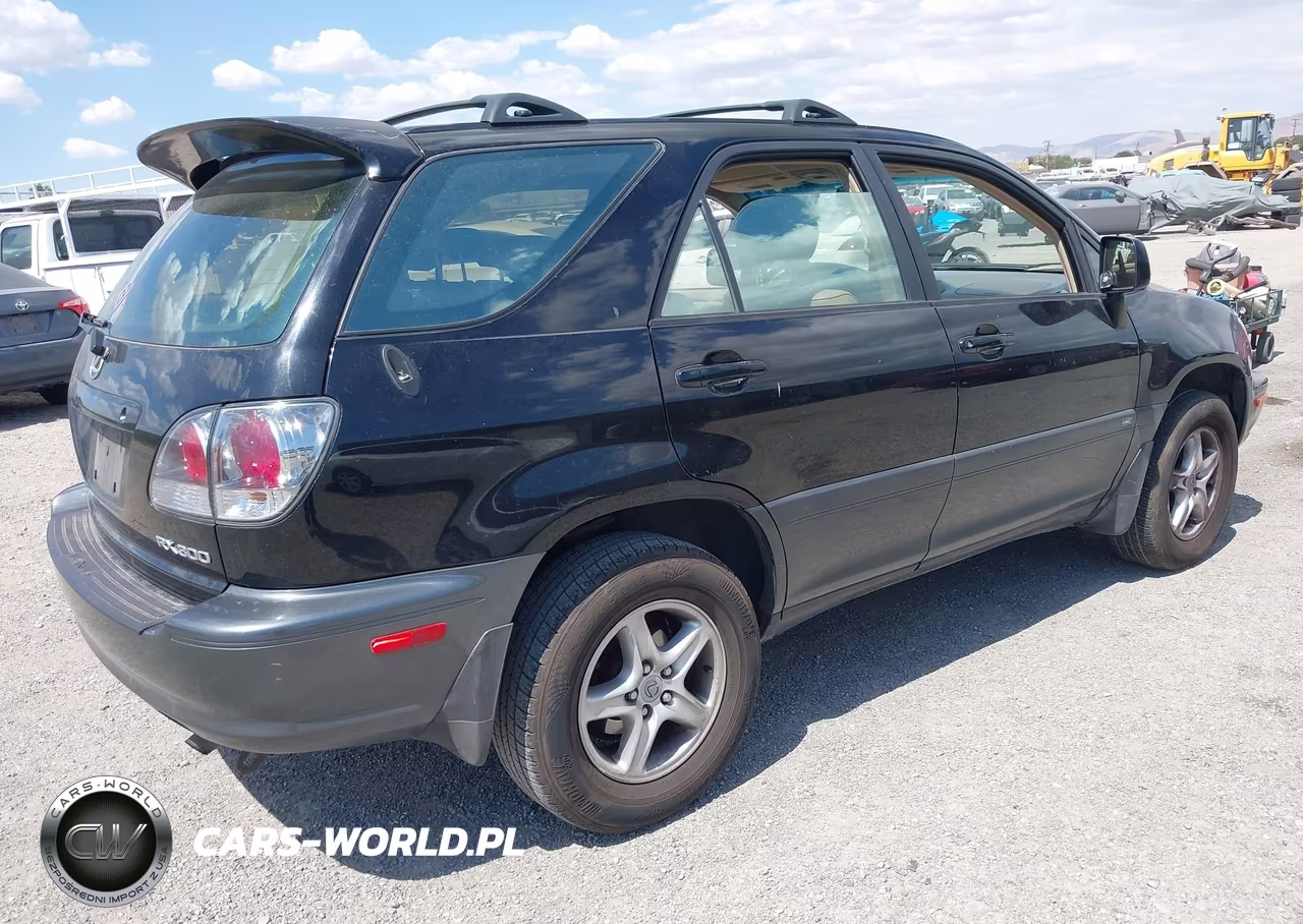 2001 Lexus Rx 300 VIN:JTJGF10U610109731 - 4